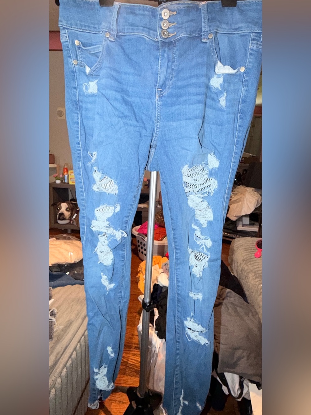 Torrid Light Blue Distressed Skinny Jeans with Lace